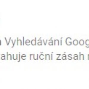 Stránka je zaindexována Googlem