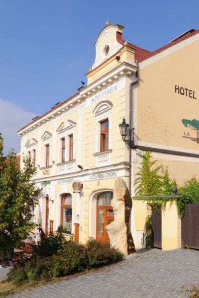 Hotel U zeleného stromu